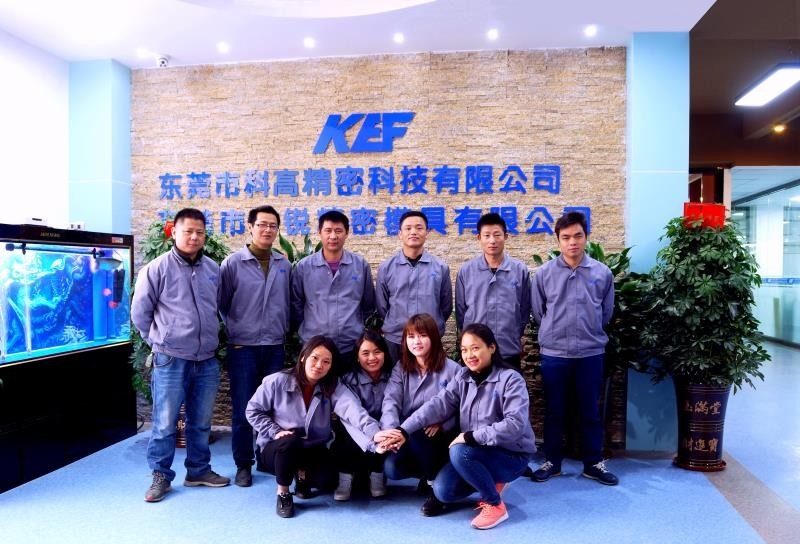الصين Dongguan Kegao Precision Technology Co., Ltd. ملف الشركة